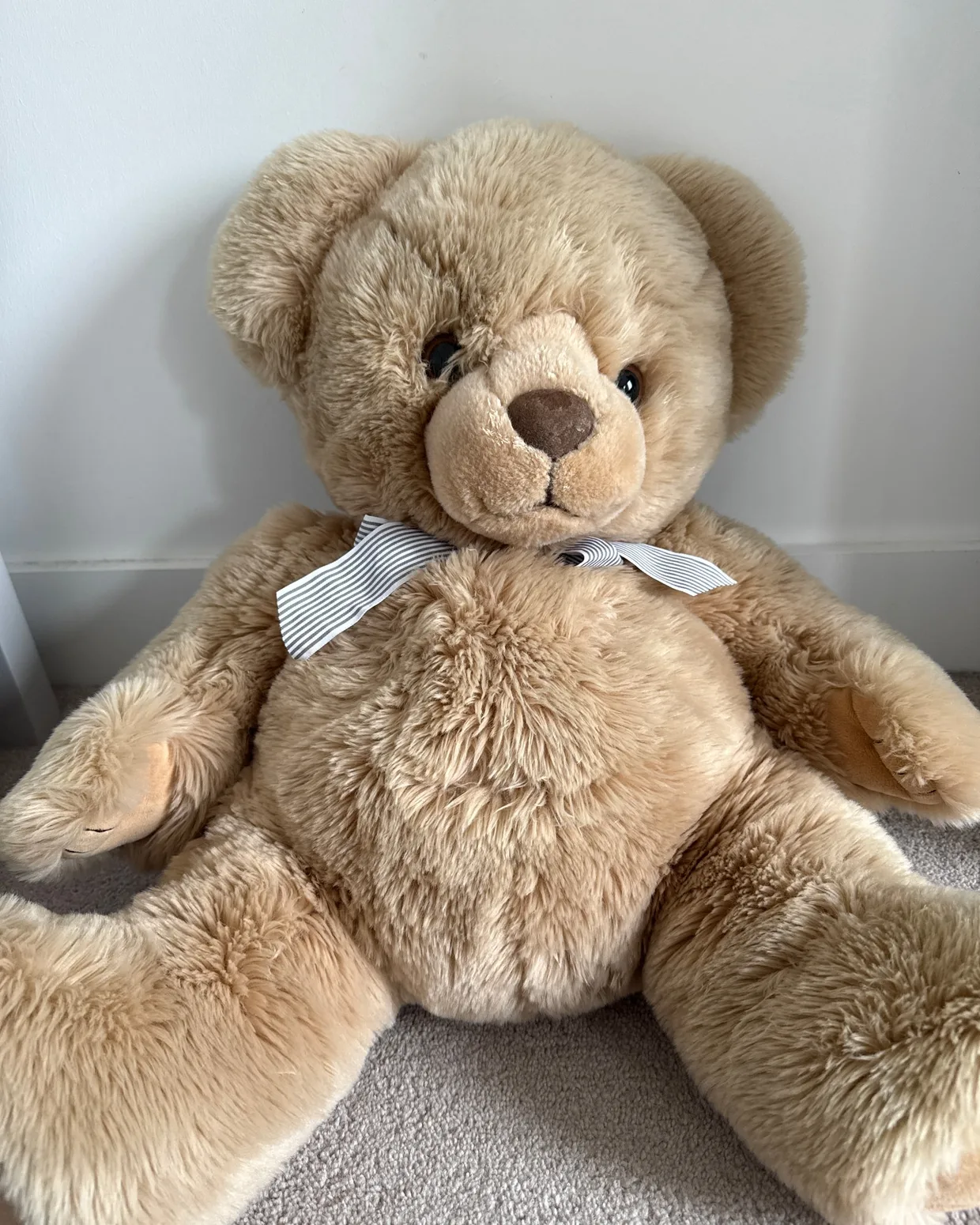 The real teddy bear that The Adventures of B Bear was built from, photographed at home with its striped ribbon.